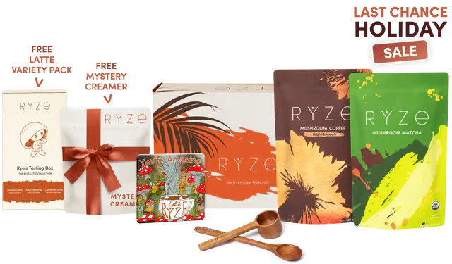 All Day Energy Bundle | Ref rdp0mt