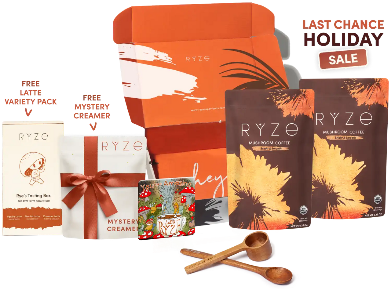 Starter Kit | Ref o1gj3f