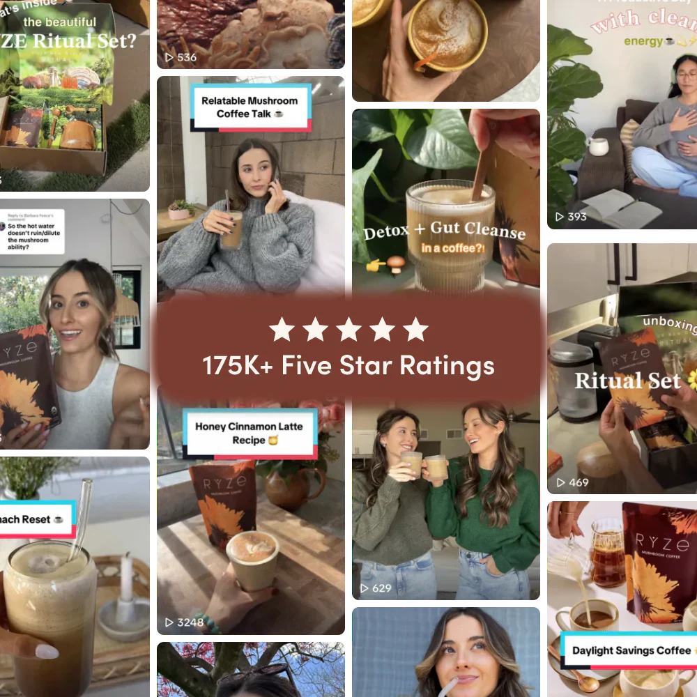Dark Roast Starter Kit | Ref xrj6zq
