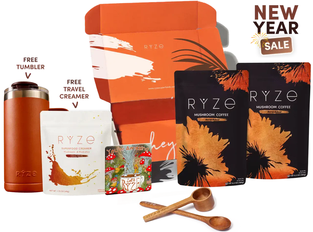 Dark Roast Starter Kit | Ref xrj6zq
