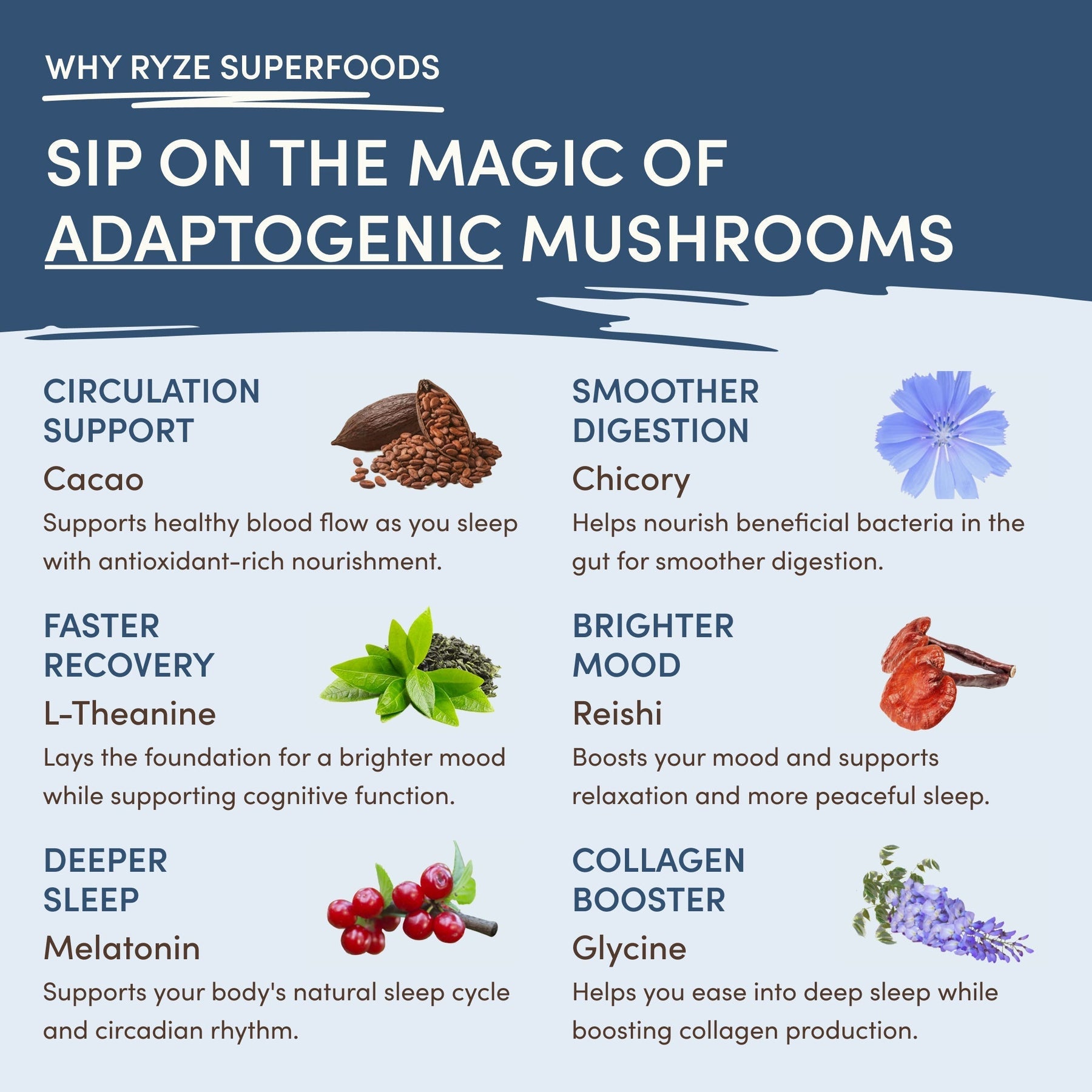 Mushroom Hot Cocoa | Ref n3qj14