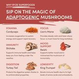 Mushroom Chai | Ref 6djo9k