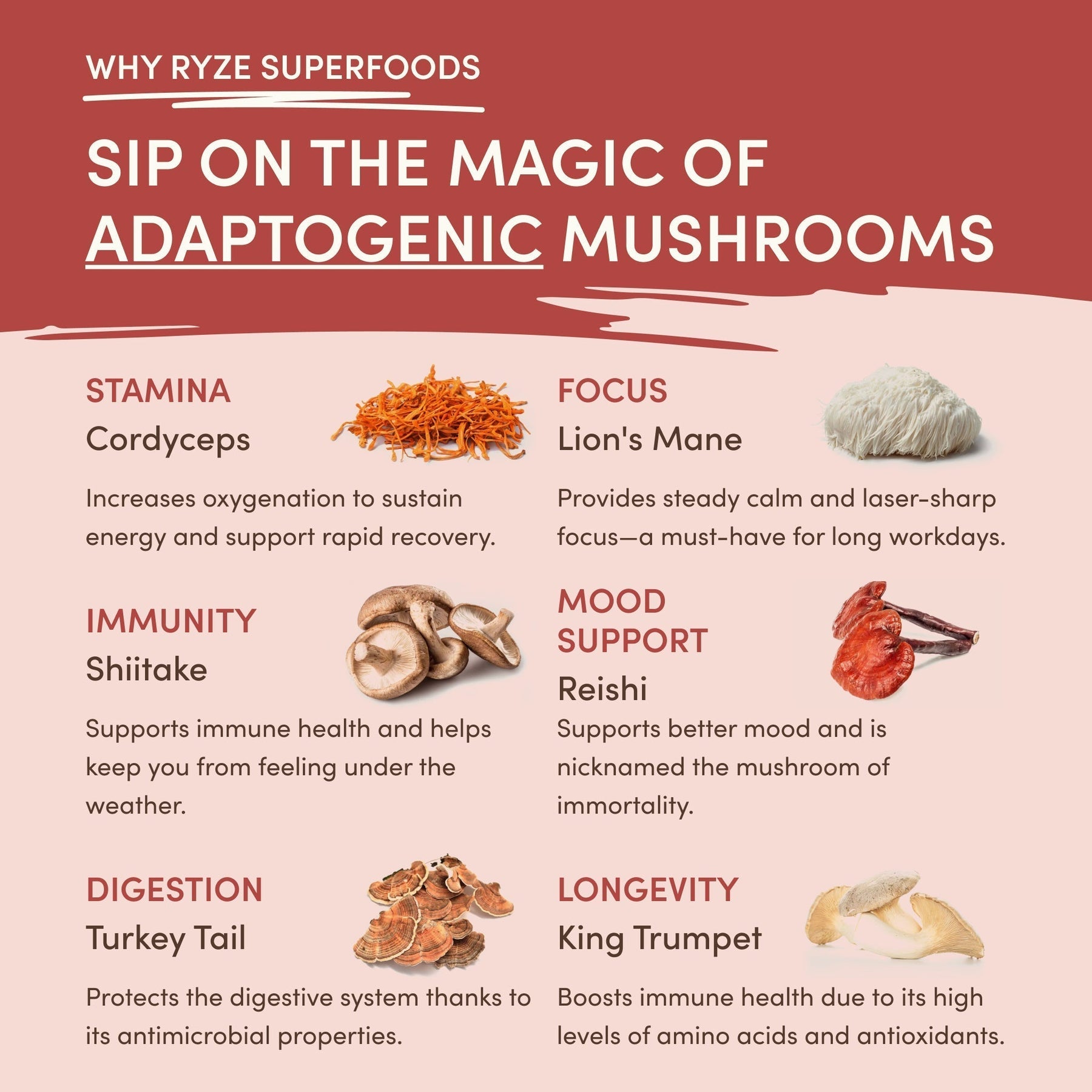 Mushroom Chai | Ref 6djo9k